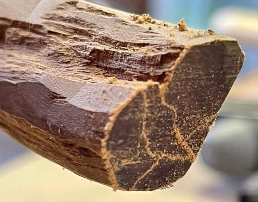 Image for guruaromatix Sandalwood Service -  Age Repair Facial, oud oils, sandalwood oil,  Monthly Subscriptions, artisan distillation,  Scrub & Wrap,  Aromatherapy massage,  Ultimate Detox,  Skin Polish,  Aromatherapy diffuser,  Aromatherapy benefits, Hojari Frankincense Oil