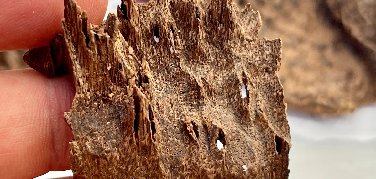 guruaromatix News Story Image For What Is Agarwood - Aromatherapy in Farnham,  Intensive Muscle Release,  Aromatherapy benefits,  Monthly Subscriptions, artisan distillation,  Age Repair Facial,  Ultimate Detox, sandalwood oil,  Aromatherapy diffuser,  Aromatherapy essential oils,  Skin Polish, oud oils