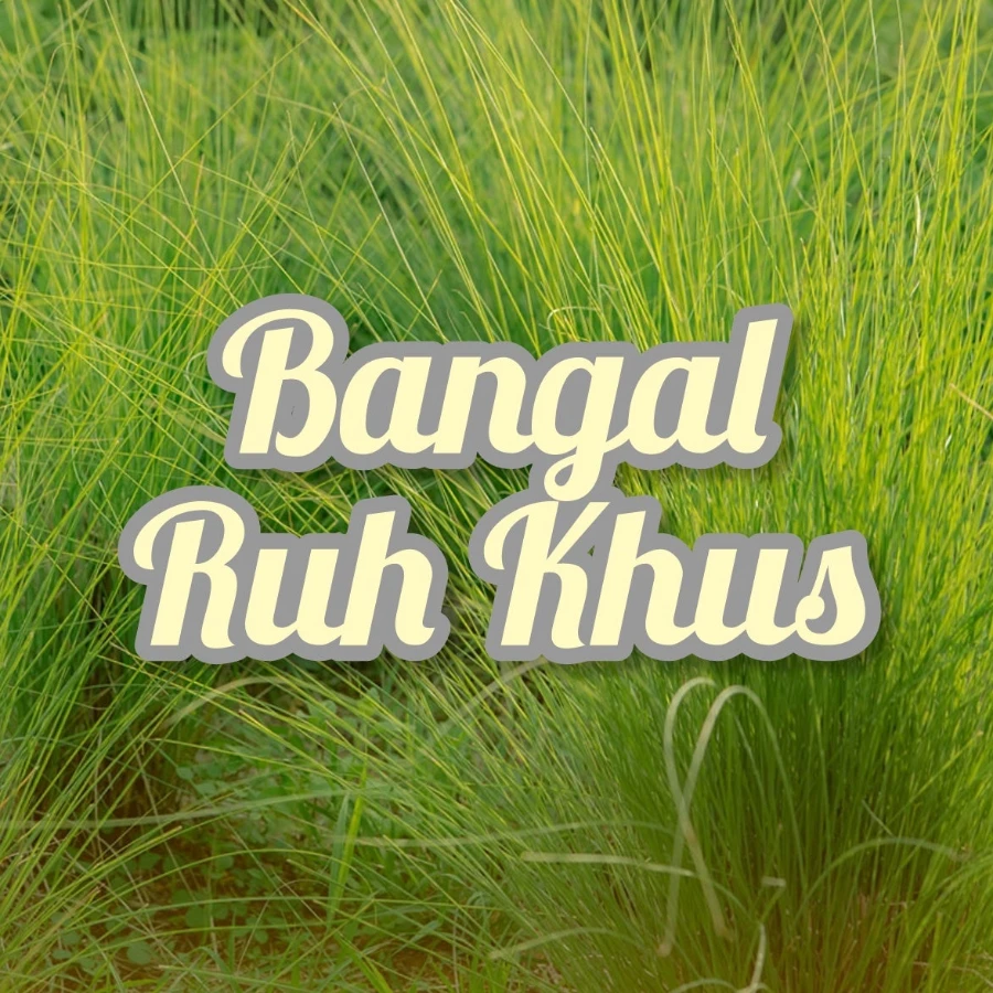 Image for